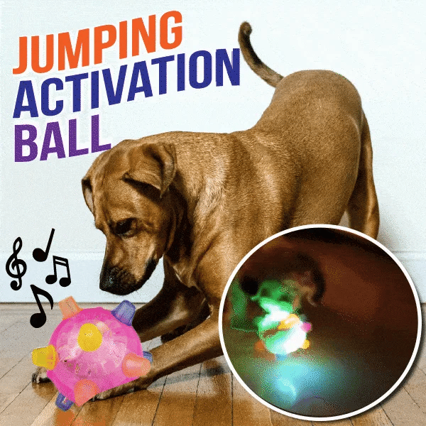 BounceBuddy™ | Dog Ball