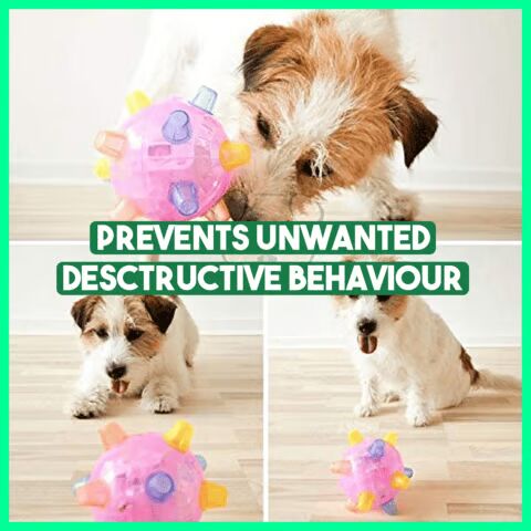 BounceBuddy™ | Dog Ball